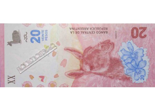 Банкнота Аргентина 20 (двадцать) песо 2014 год. Pick 361.2. UNC