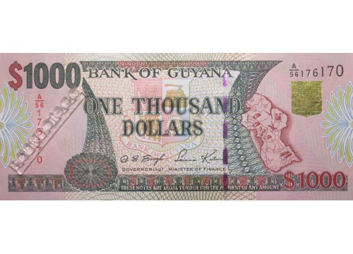 Банкнота Гайана 1000 (тысяча) долларов 2000-05 год. Pick 35.2. UNC