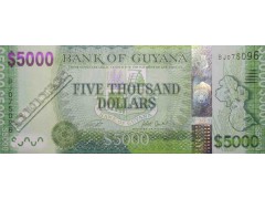 Банкнота Гайана 5000 (пять тысяч) долларов 2011-21 год. Pick 40.2. UNC
