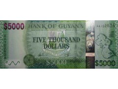 Банкнота Гайана 5000 (пять тысяч) долларов 2011-18 год. Pick 40.1. UNC