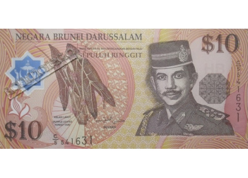 Банкнота Бруней 10 (десять) ринггит 1996 год. Pick 24a. UNC
