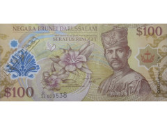 Банкнота Бруней 100 (сто) ринггит 2013 год. Pick 29c. UNC