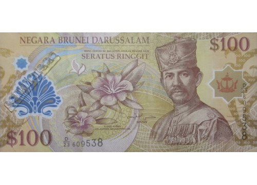 Банкнота Бруней 100 (сто) ринггит 2013 год. Pick 29c. UNC
