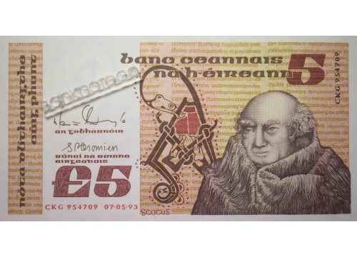 Банкнота Ирландия 5 (пять) фунтов 1993 год. Pick 71e. UNC