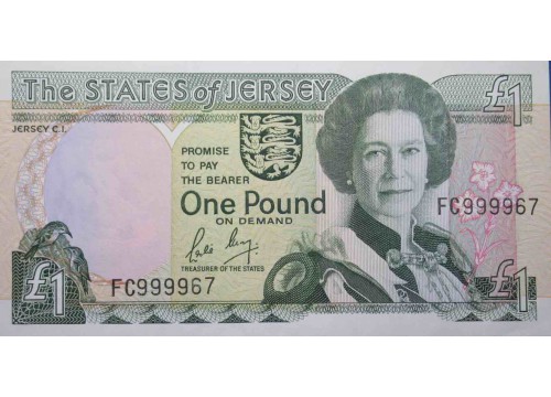 Банкнота Джерси 1 (один) фунт 1989 год. Pick 15. UNC