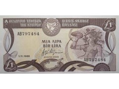 Банкнота Кипр 1 (один) фунт 1989 год. Pick 53a. UNC