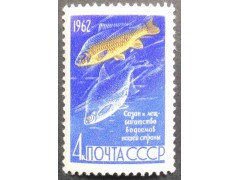Марка 2732 Рыбы. Лещ и сазан. MNH ★★. 1962 год.