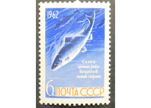 Марка 2733 Рыбы. Сёмга. MNH ★★. 1962 год.