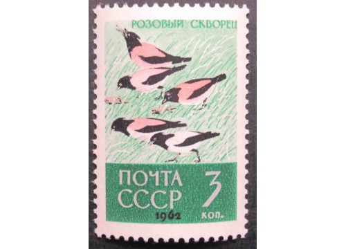 Марка 2790 Птицы. Розовые скворцы. MNH ★★. 1962 год.