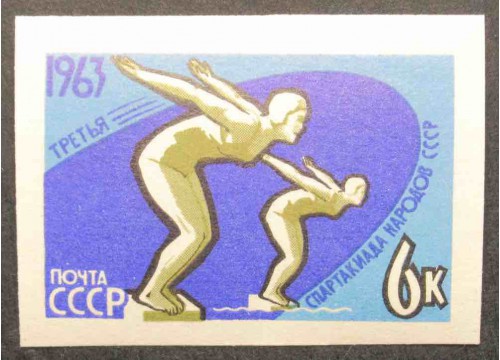 Марка 2895 Спартакиада народов СССР. Плавание. MNH ★★. 1963 год.