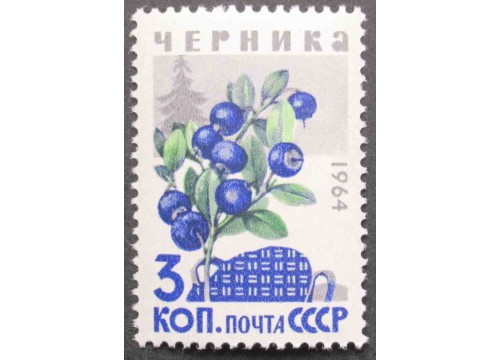 Марка 3133 Ягоды. Черника. MNH ★★. 1964 год.