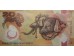 Банкнота Папуа Новая Гвинея 20 (двадцать) кина. 2015 год. Pick 49. UNC