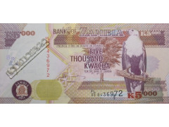 Банкнота Замбия 5000 (одна тысяча) квача 2011 год. Pick 45g. UNC