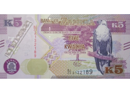 Банкнота Замбия 5 (пять) квача 2022 год. Pick 57. UNC