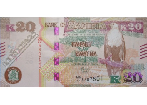 Банкнота Замбия 20 (двадцать) квача 2022 год. Pick 59. UNC