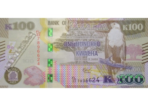 Банкнота Замбия 100 (сто) квача 2022 год. Pick 61. UNC
